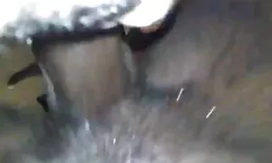 indlovukati ye-ebony ...